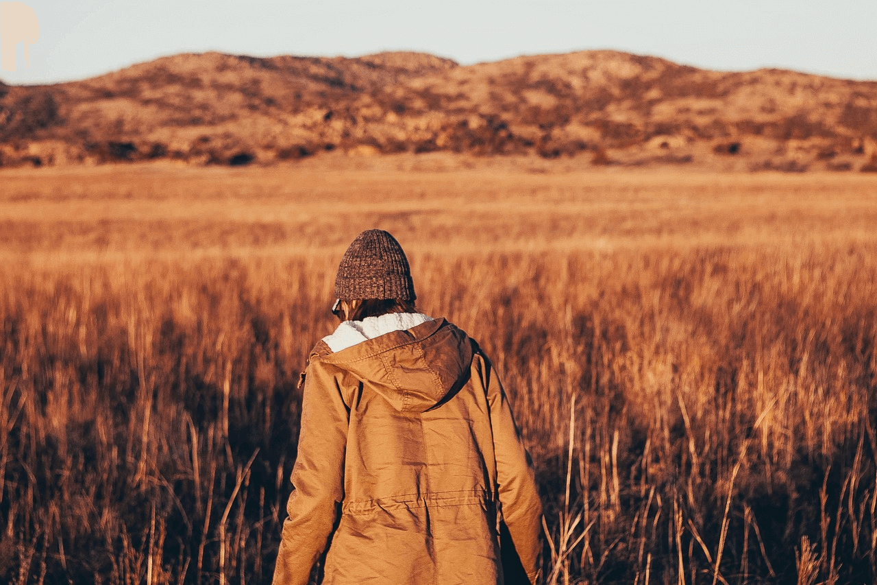 organic cotton beanie for fall