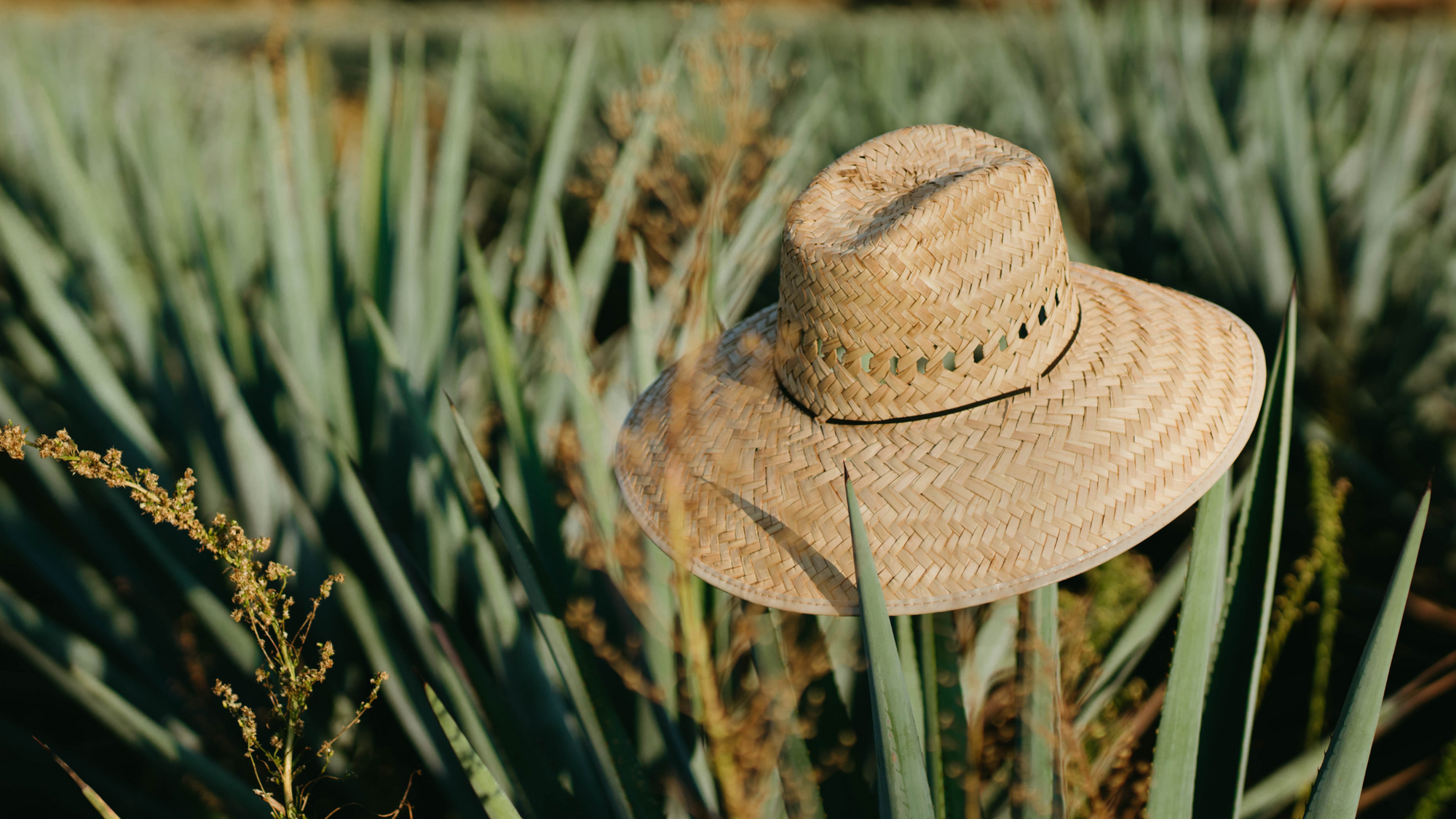 Sustainable Straw Hat Production