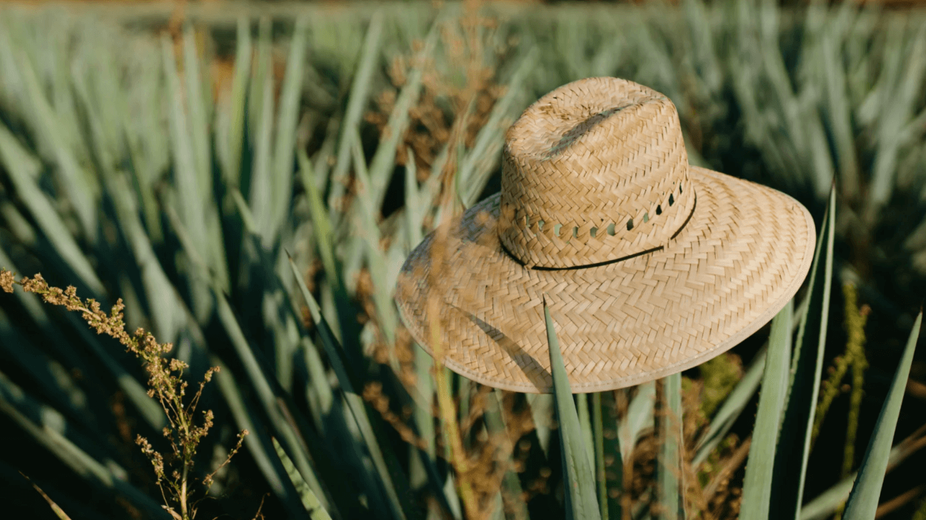 sustainable straw hat production