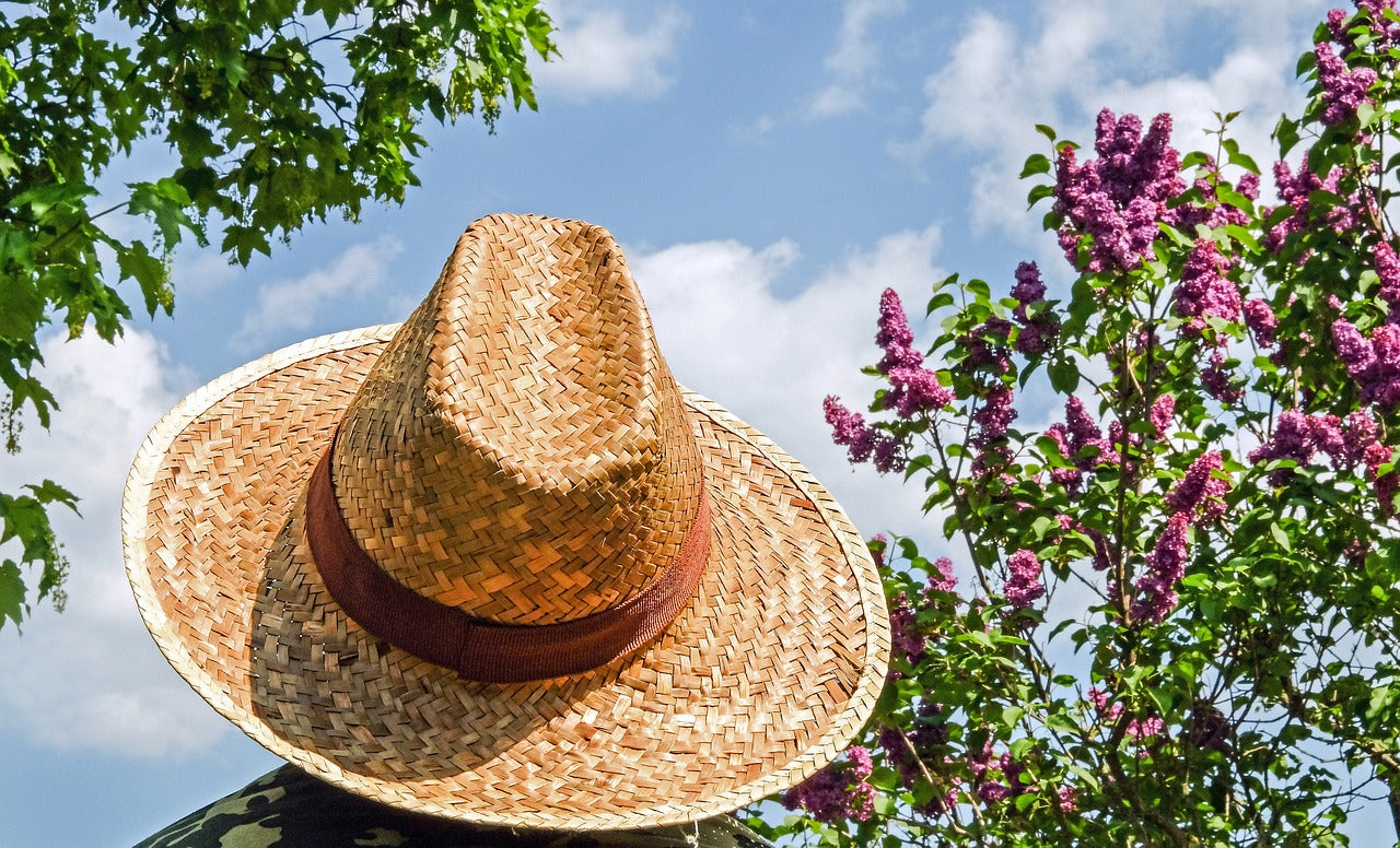 vegan straw hats