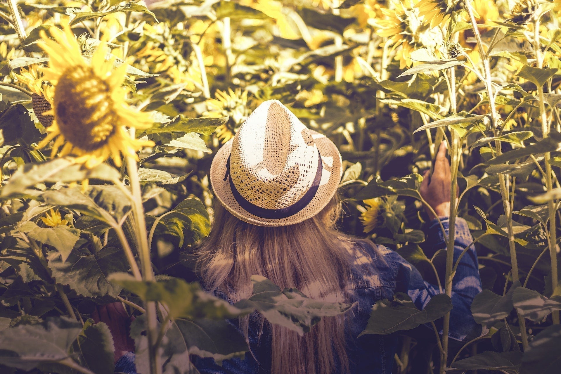 how to clean a straw hat