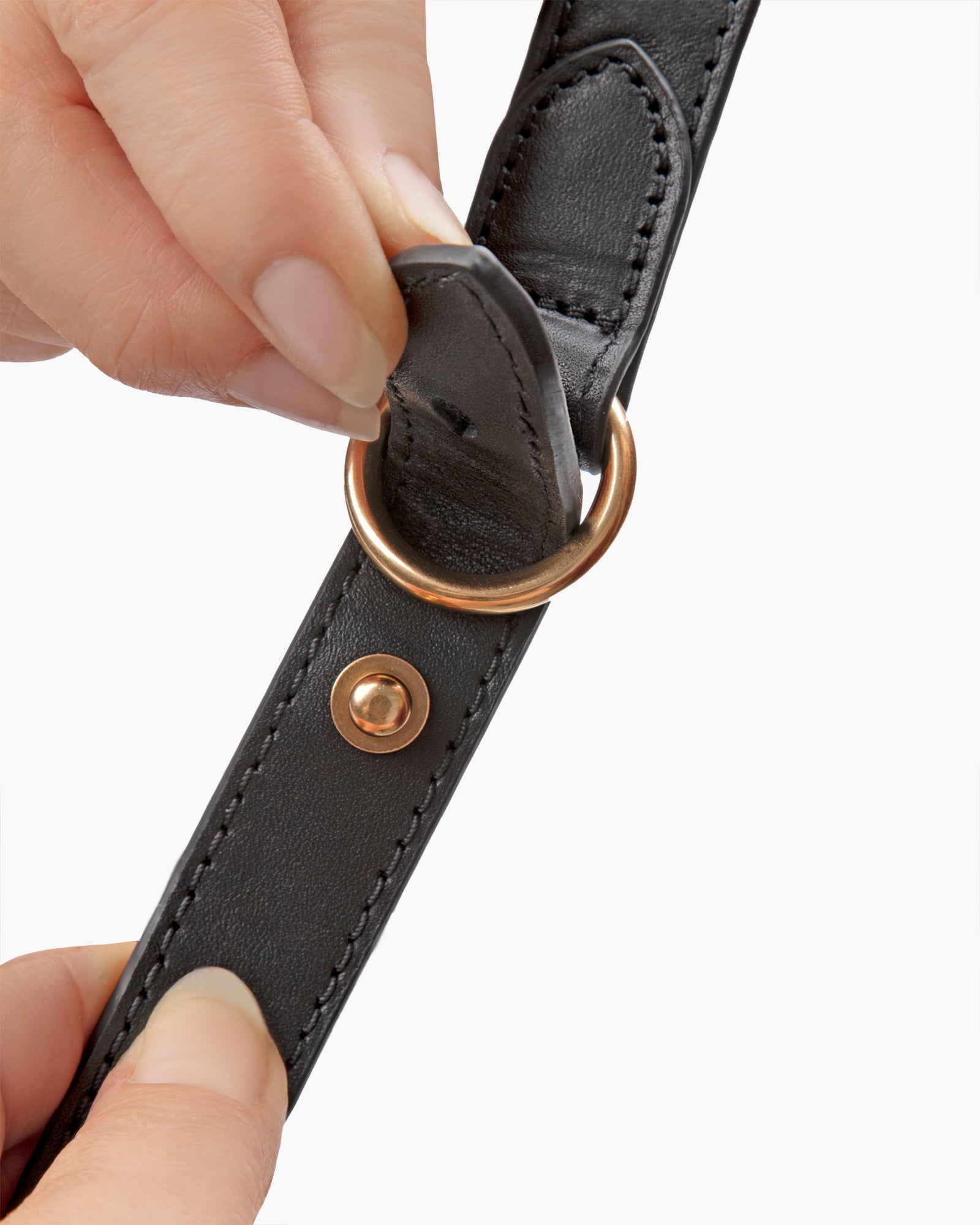 Island Black Eric Javits