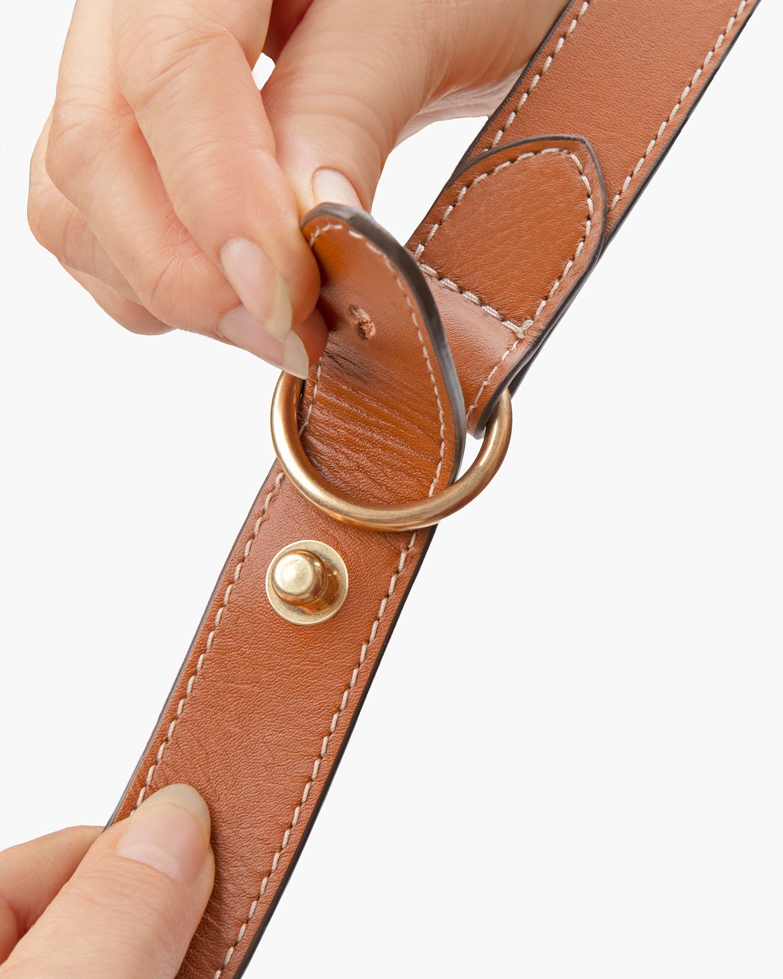 Island Natural Eric Javits