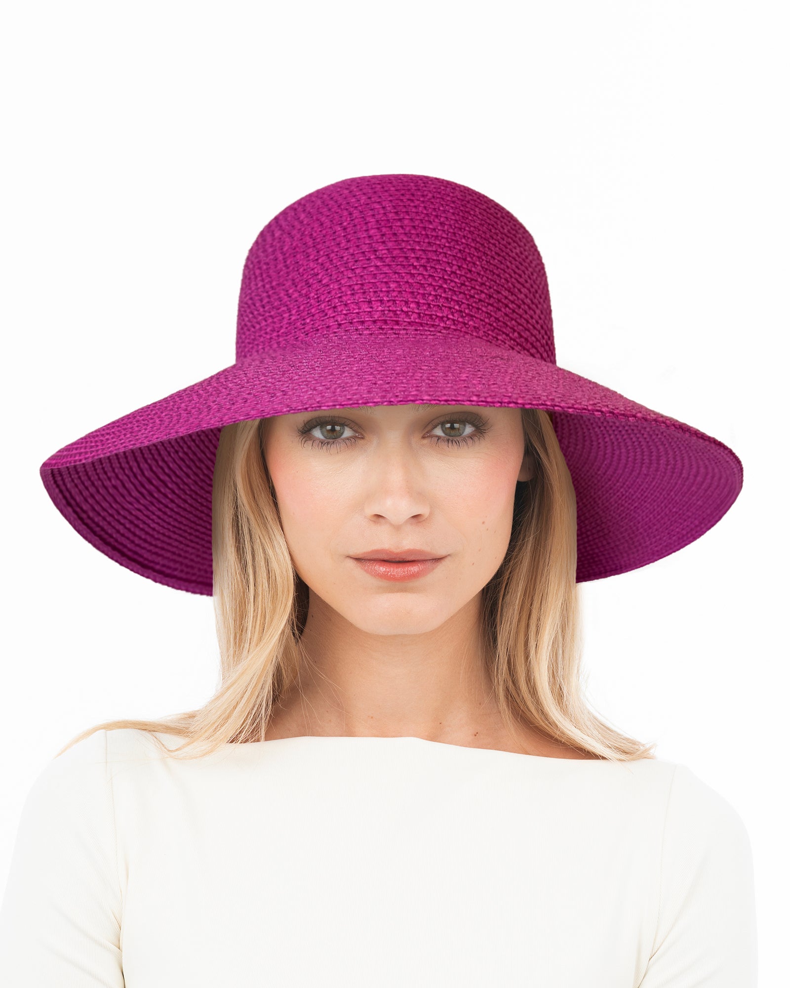 Hampton Aster Eric Javits