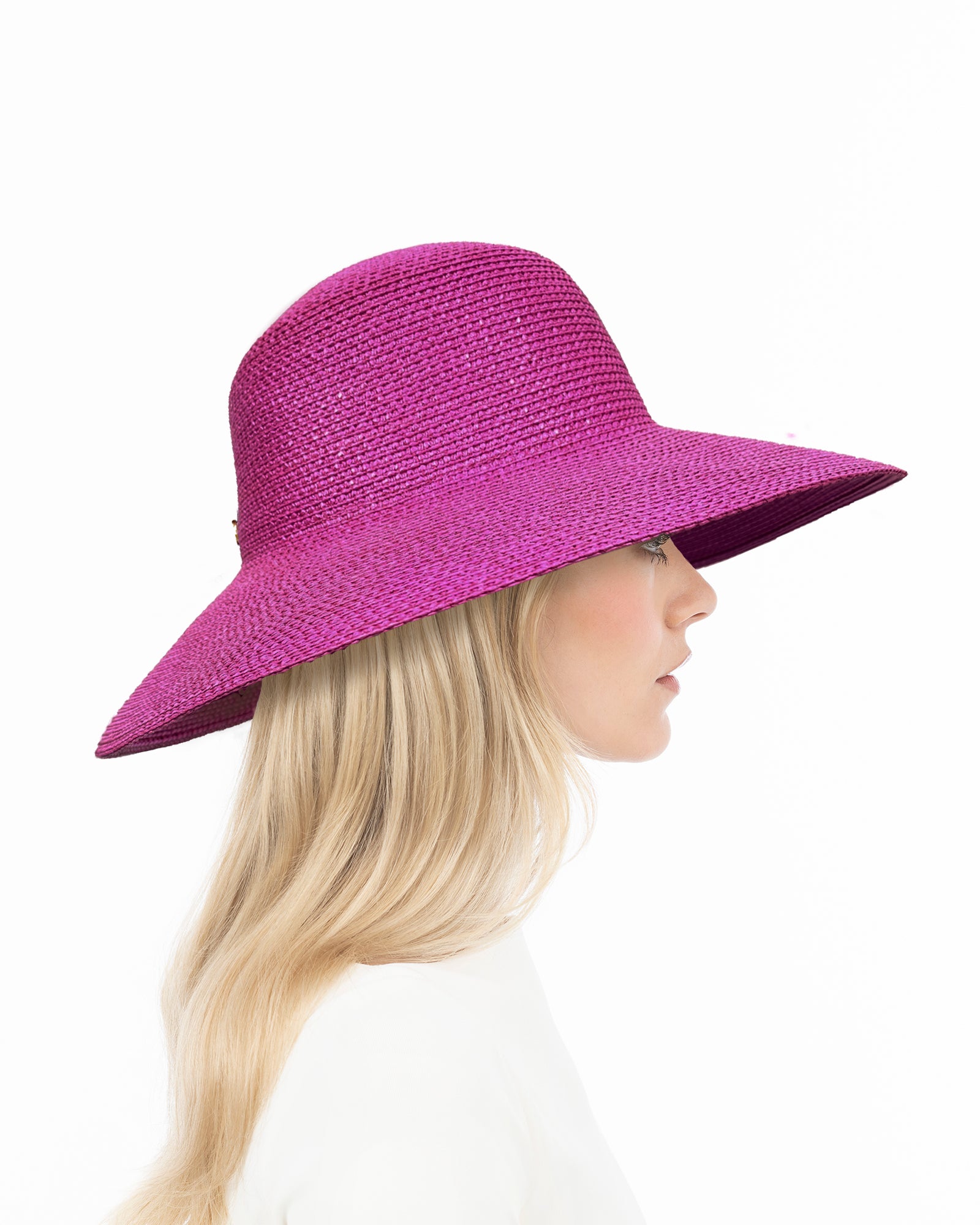 Hampton Aster Eric Javits