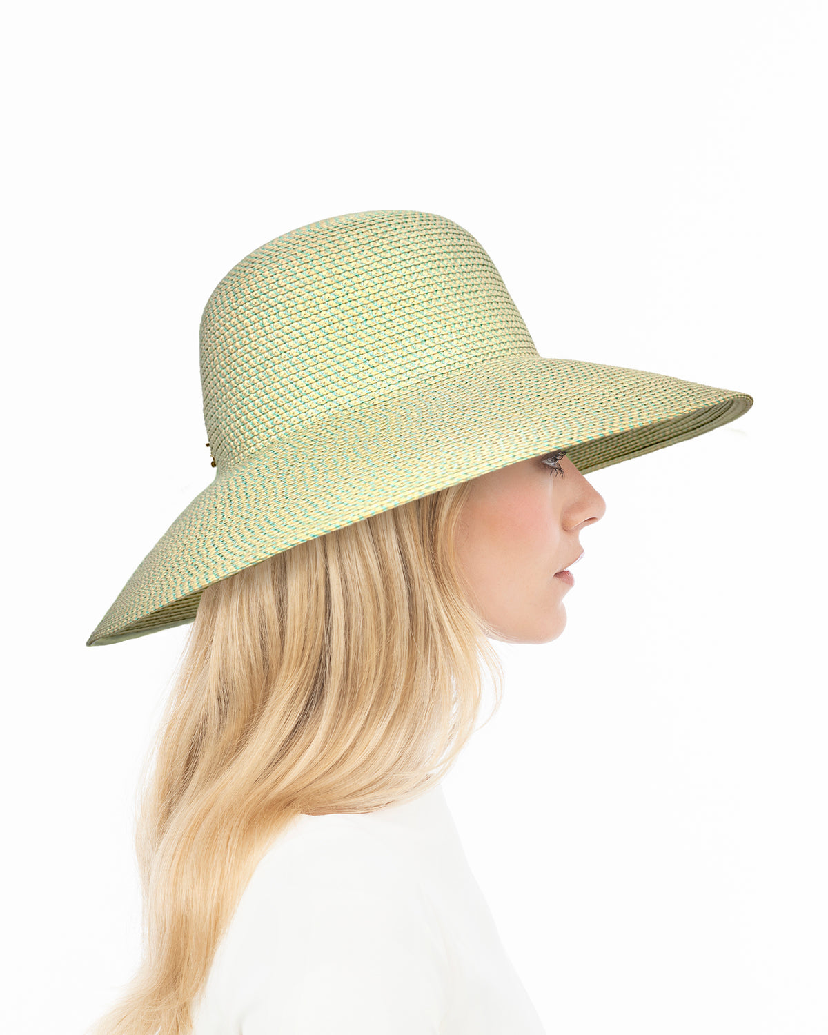 Hampton Bermuda Eric Javits