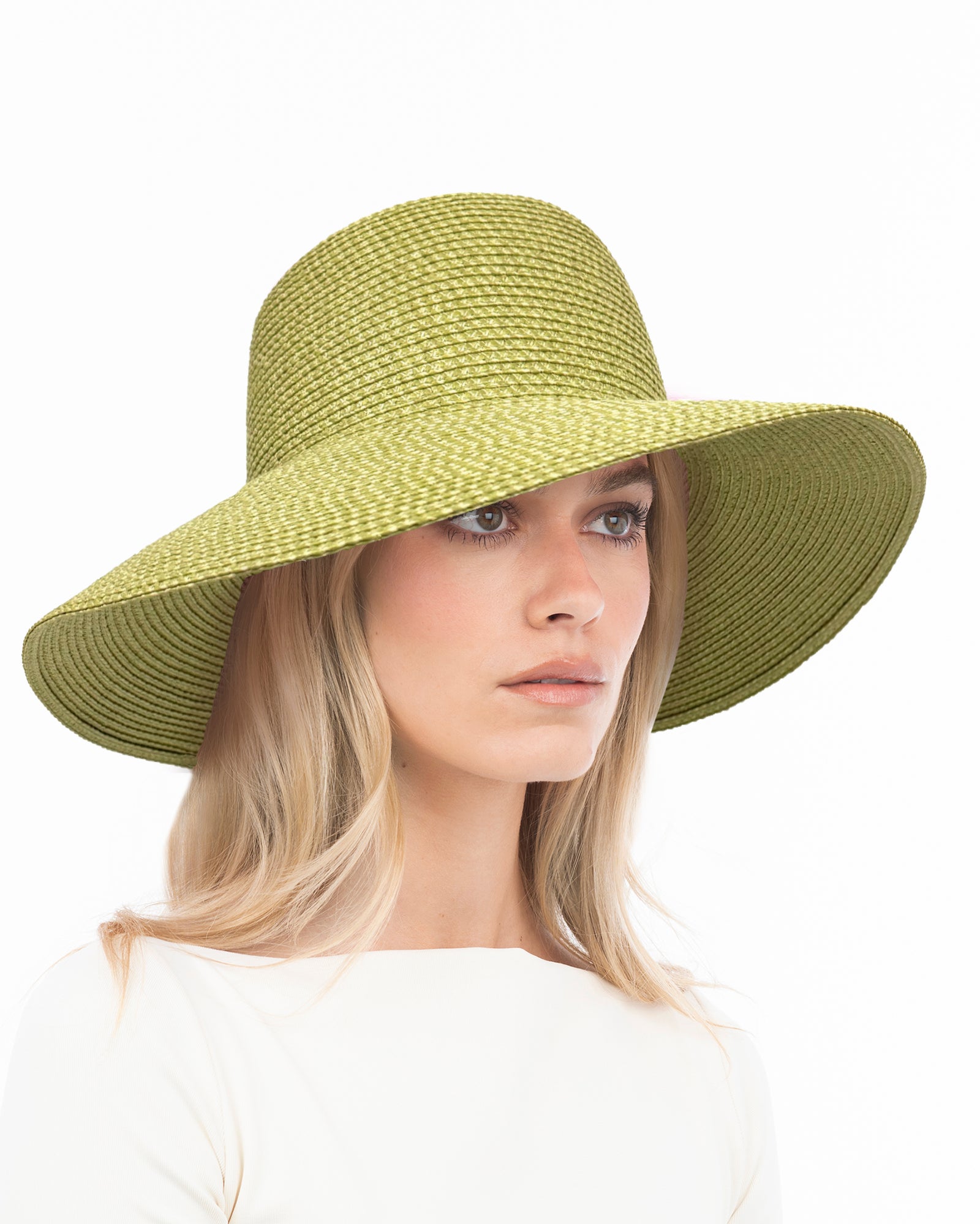 Hampton Fern Eric Javits