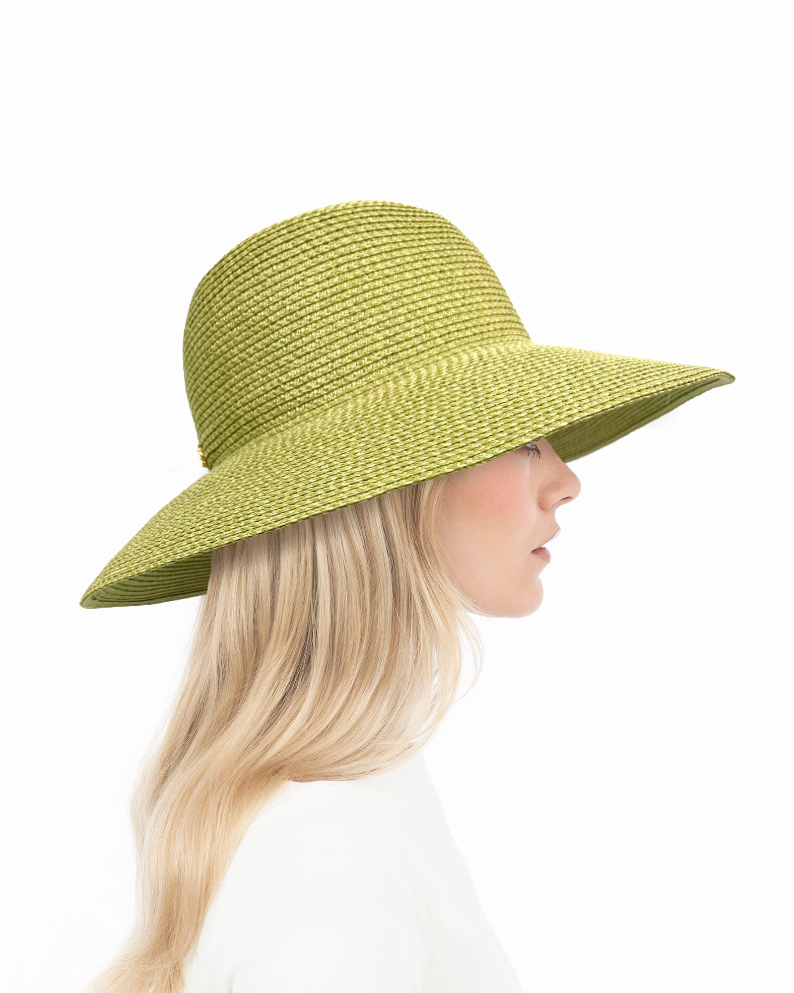 Hampton Fern Eric Javits