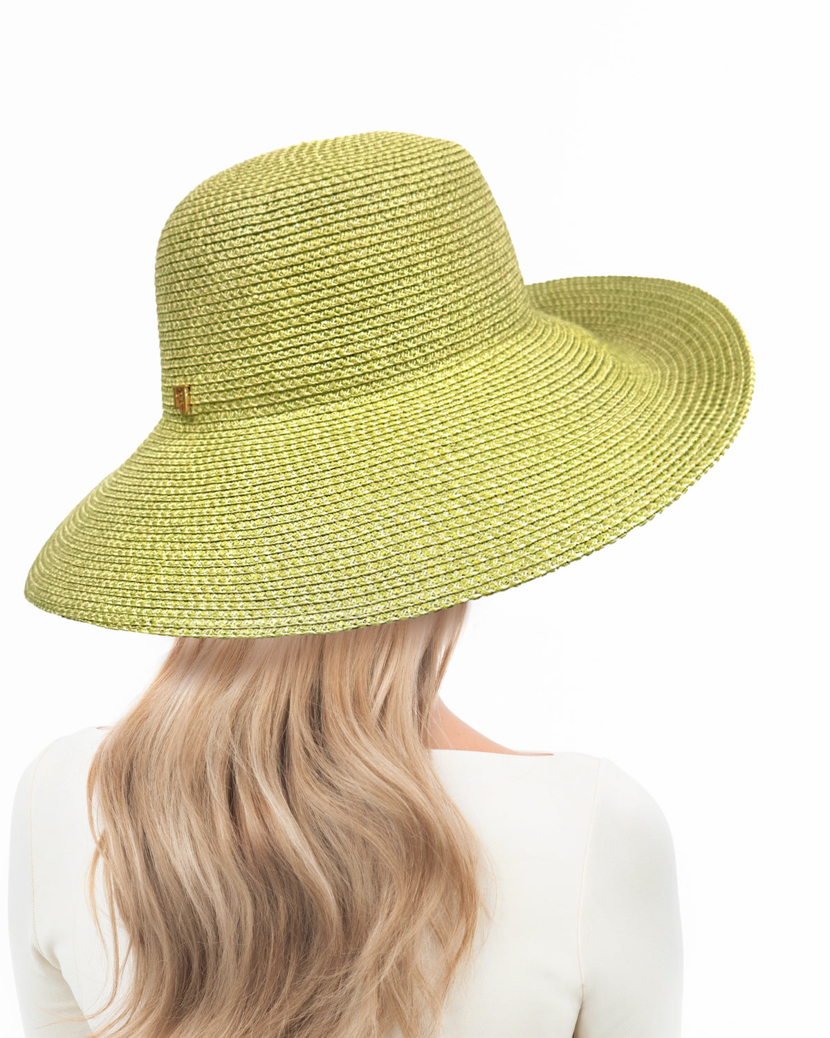 Hampton Fern Eric Javits