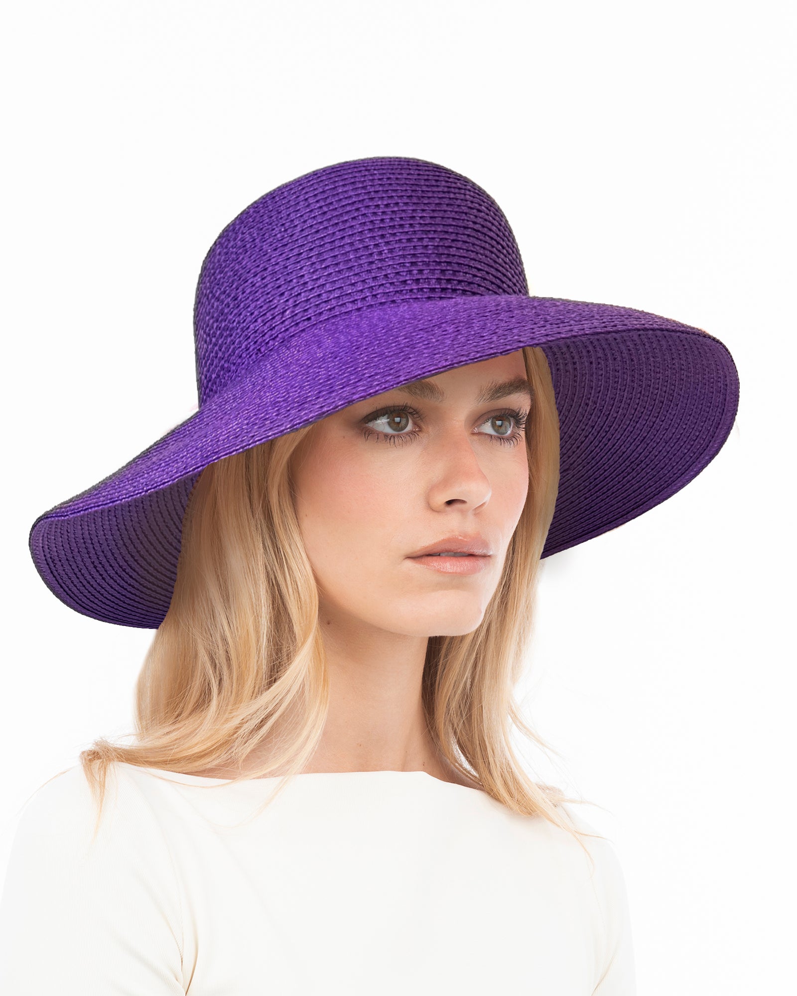 Hampton Violet Eric Javits