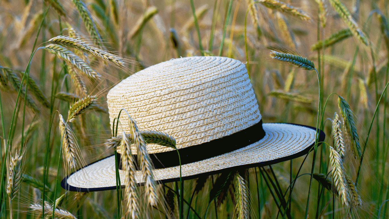 Straw Fedora for Men